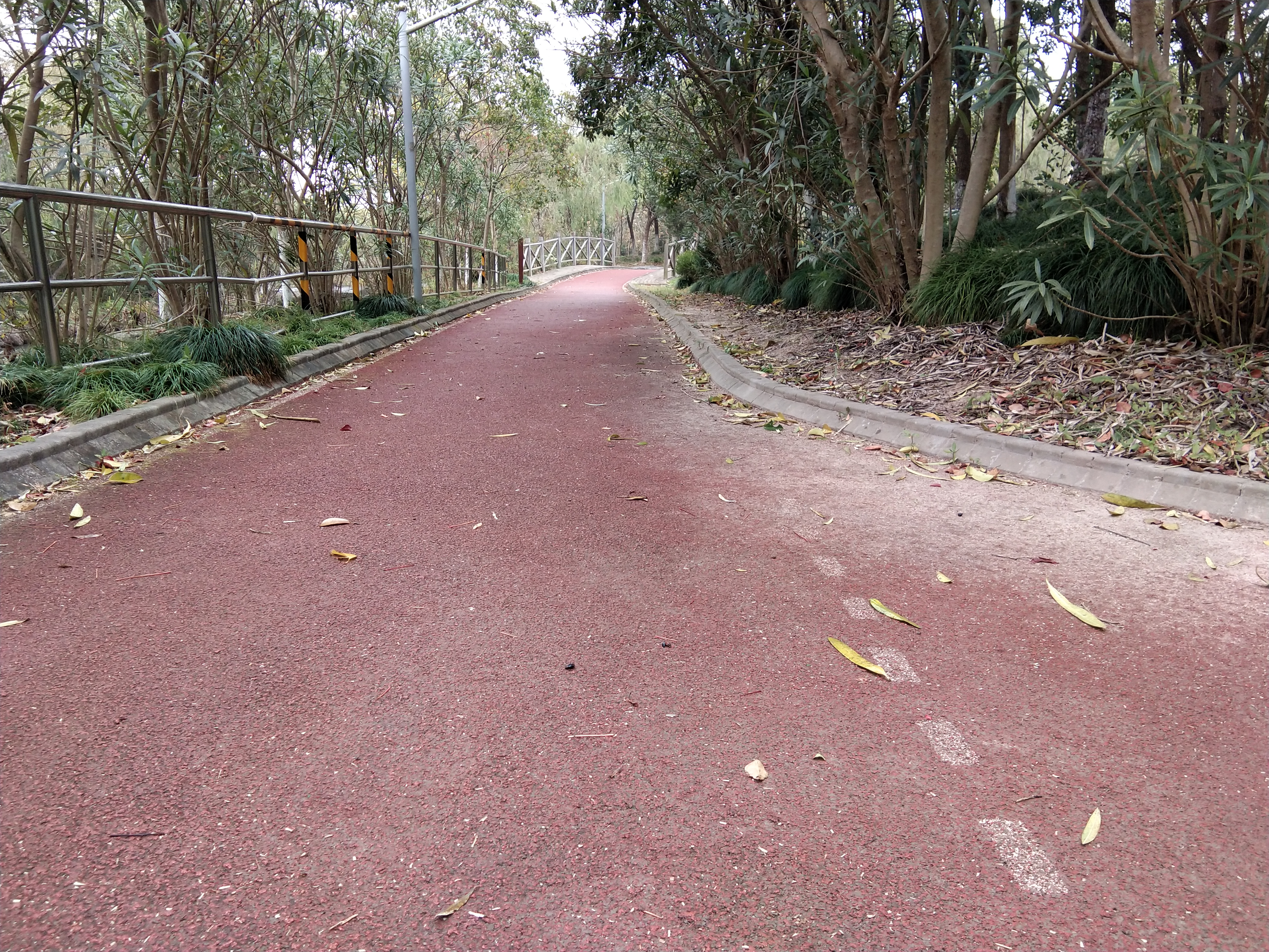 體育公園健身步道 (南片)
