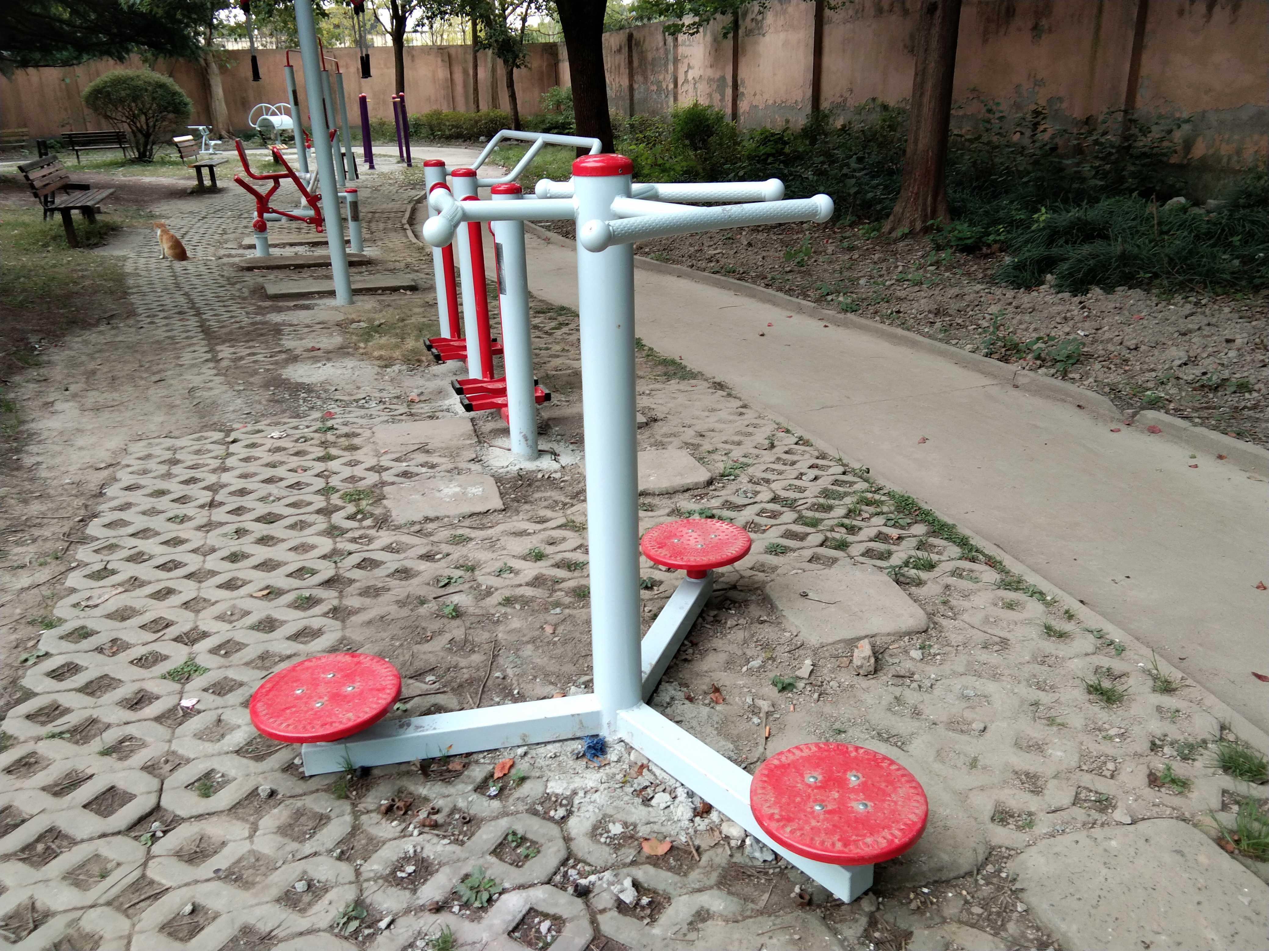 身體扭轉(zhuǎn)器