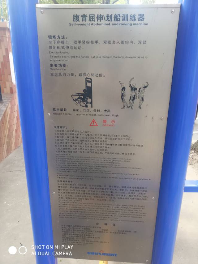 腹背屈伸/劃船訓(xùn)練器