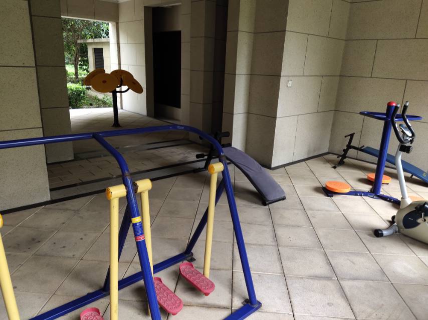 南翔鎮(zhèn)芳林社區(qū)居委會(huì)浩翔路508弄健身點(diǎn)