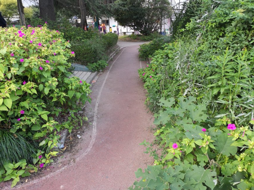 蓮蒲府邸居委健身苑點(diǎn)C