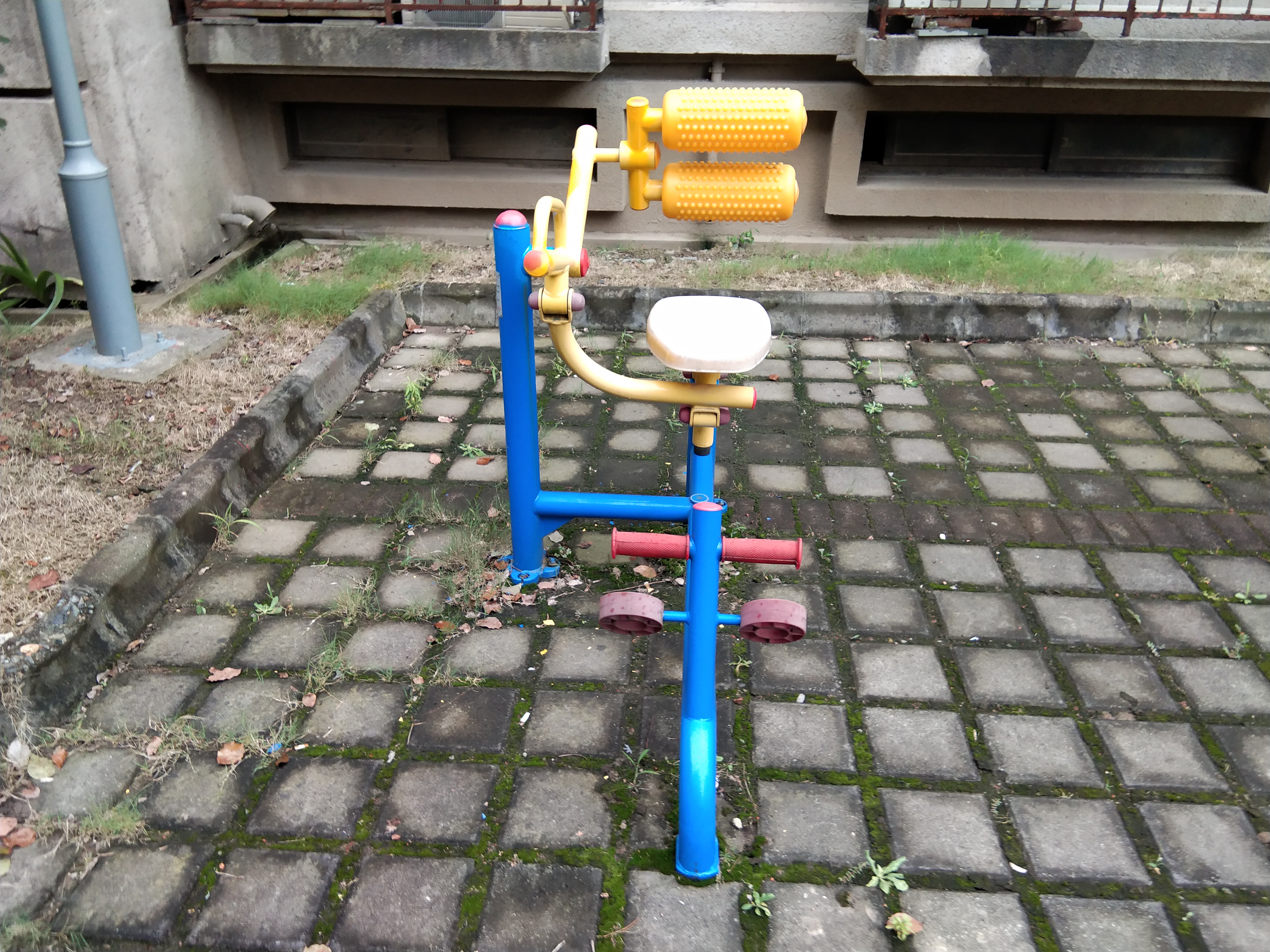 自重腹背鍛煉器