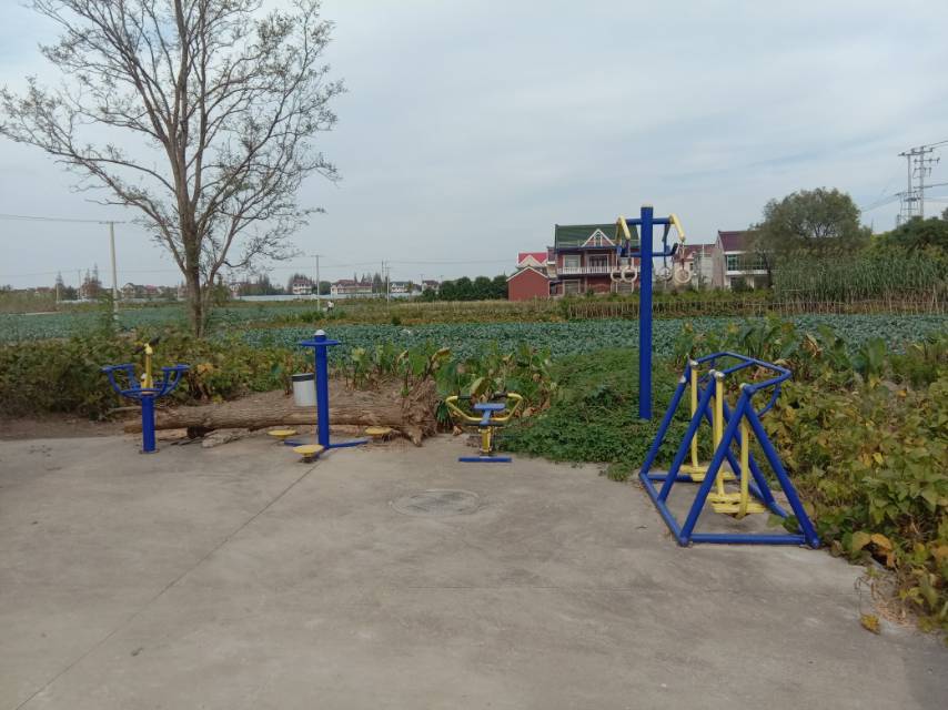 崇明區(qū)中興鎮(zhèn)汲浜9隊健身點