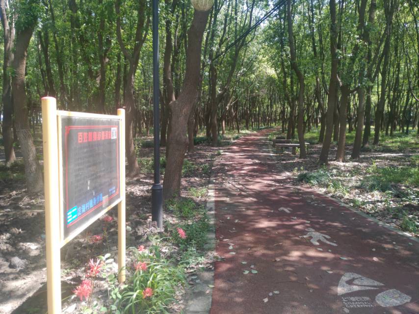 淀湖村健身步道