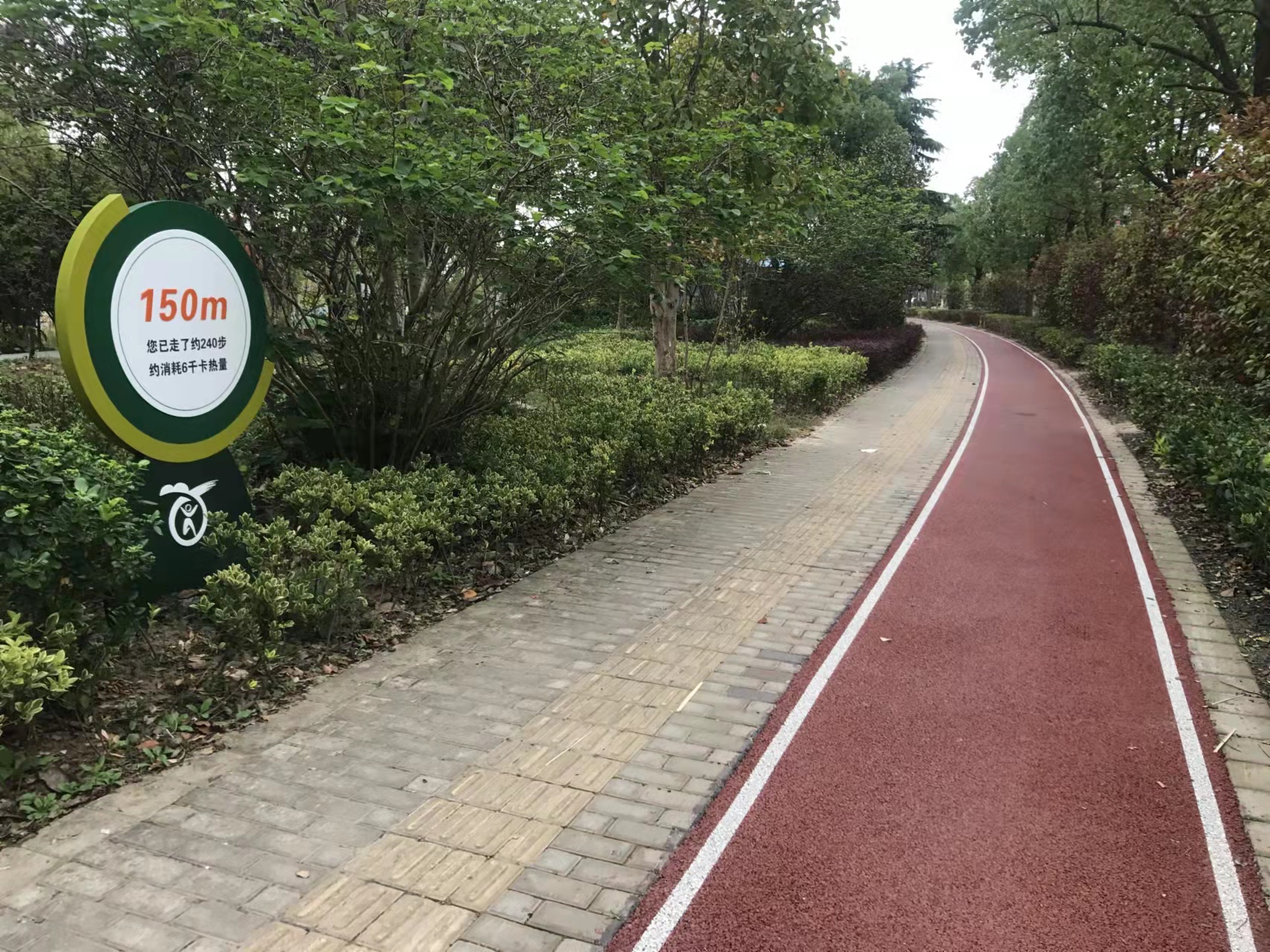 海天湖公園健身步道