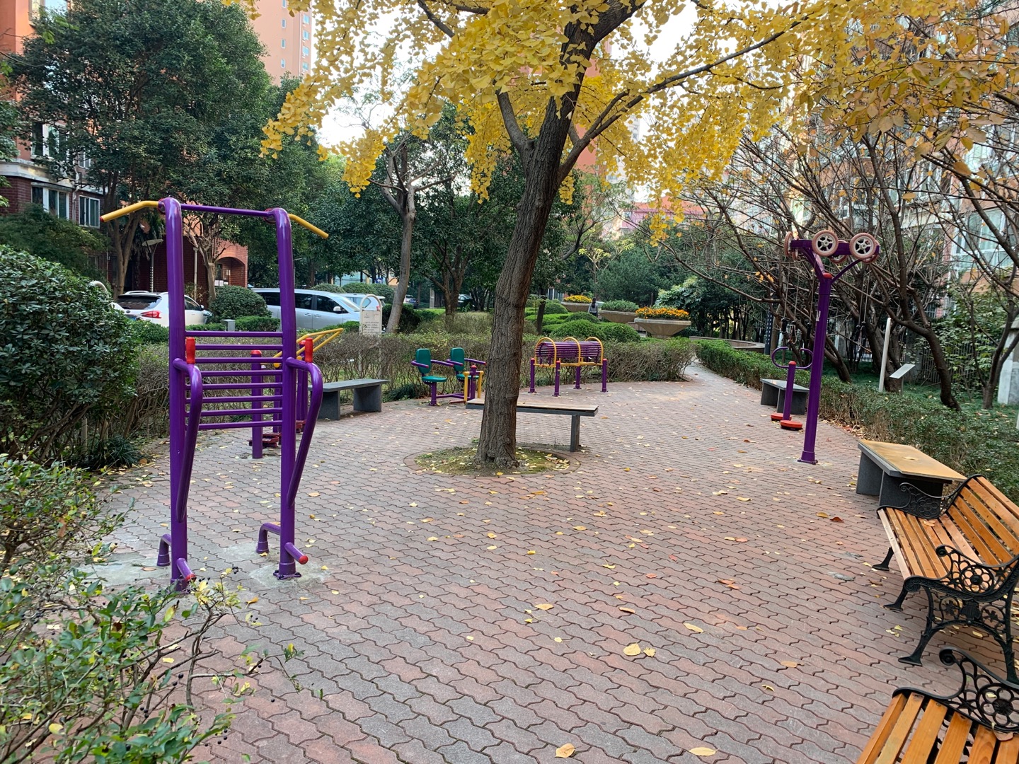 紫荊居委健身苑點(diǎn)