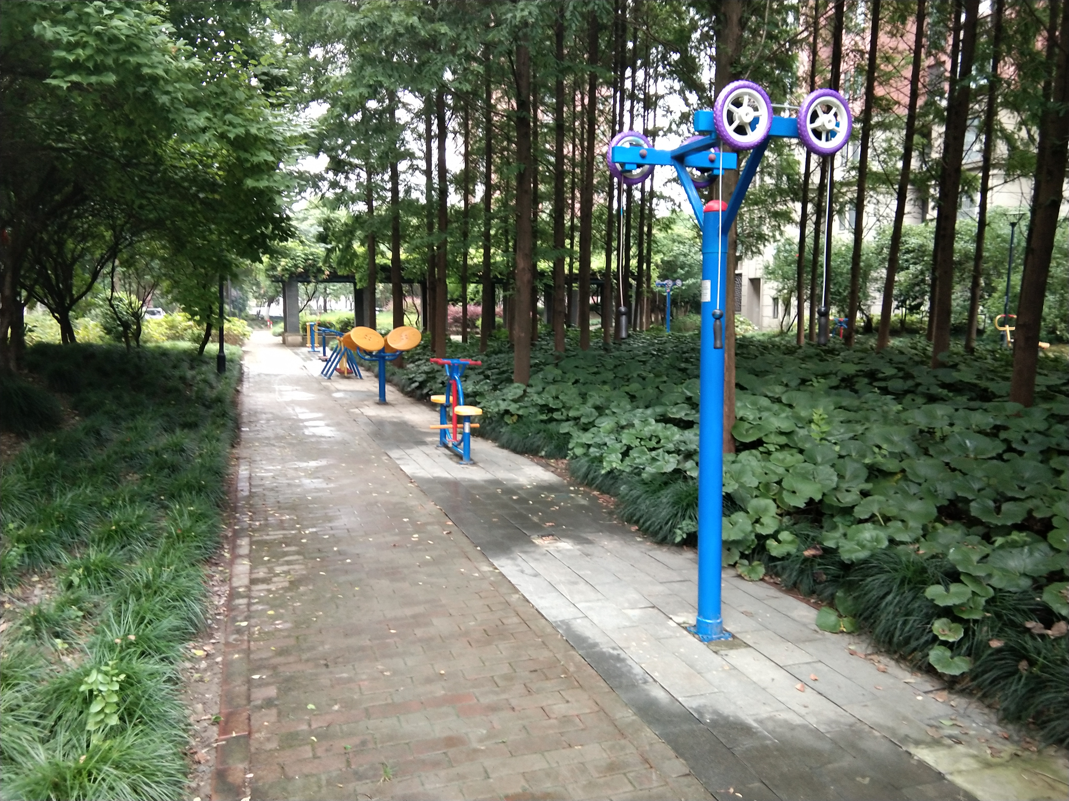 四居委（南橋老街） 市民益智健身苑點（一）