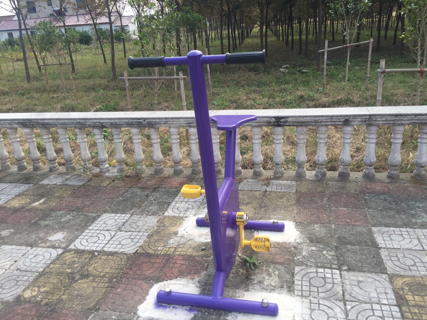 雙位健身車(chē)