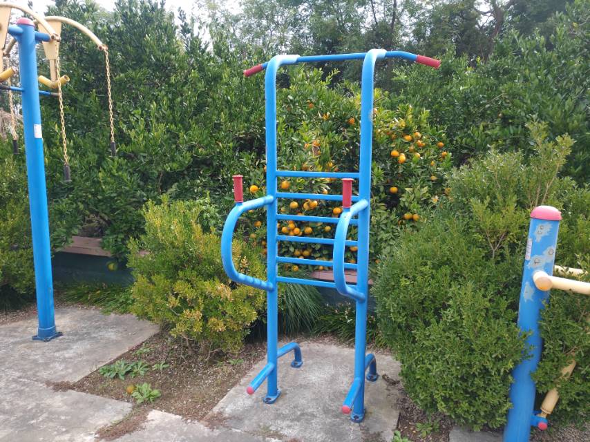 多功能訓(xùn)練器