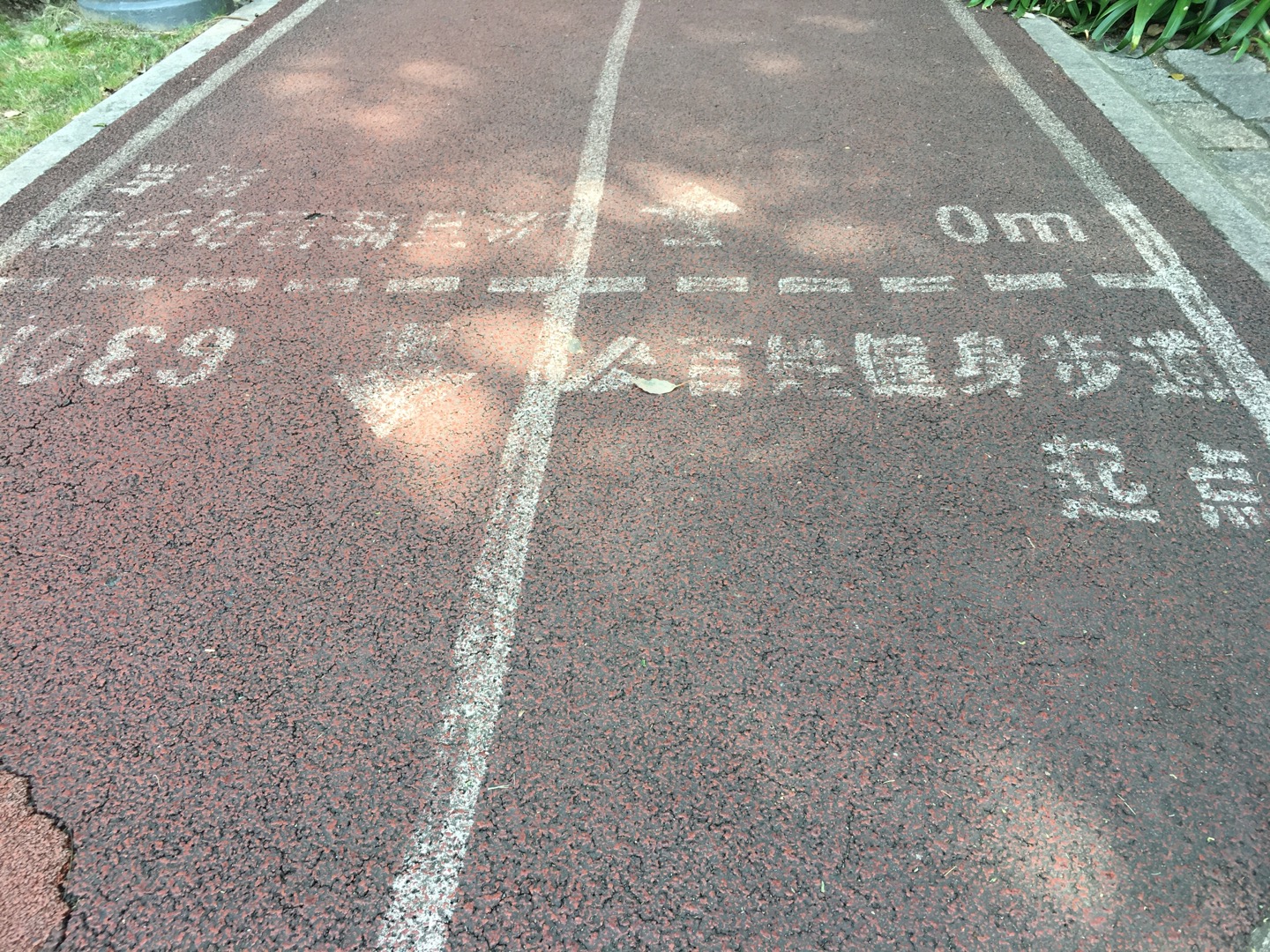 新虹橋中心花園市民健身步道