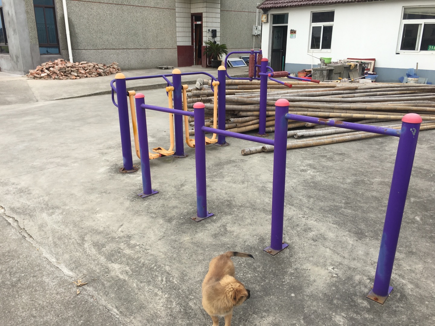 老港鎮(zhèn)建港村民委員會(huì)11組健身苑點(diǎn)