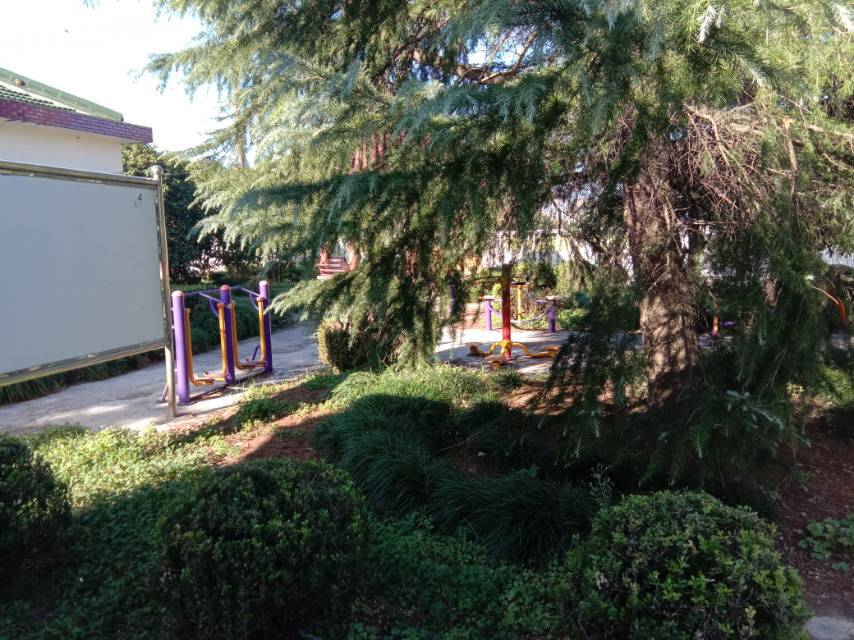 新元村健身點（二）