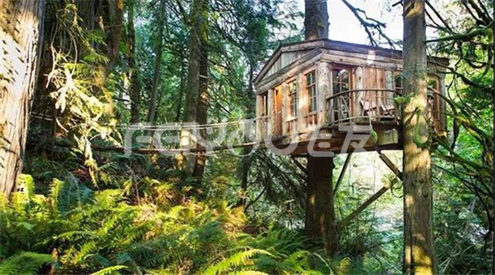 樹屋度假村|走進(jìn)大自然實現(xiàn)童年夢想