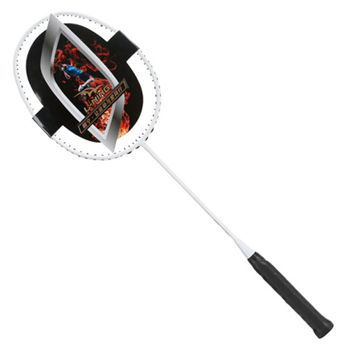 朗寧省隊羽毛球訓(xùn)練拍圖4