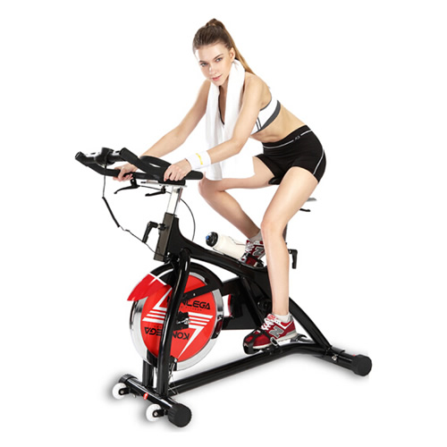 康樂佳K9.2GE家用動(dòng)感單車圖2