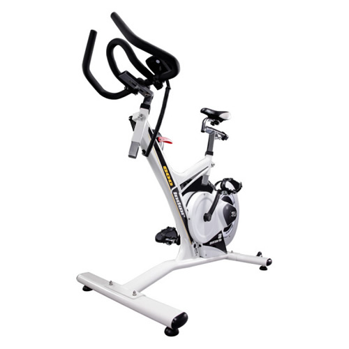 必艾奇H919家用動感單車圖1