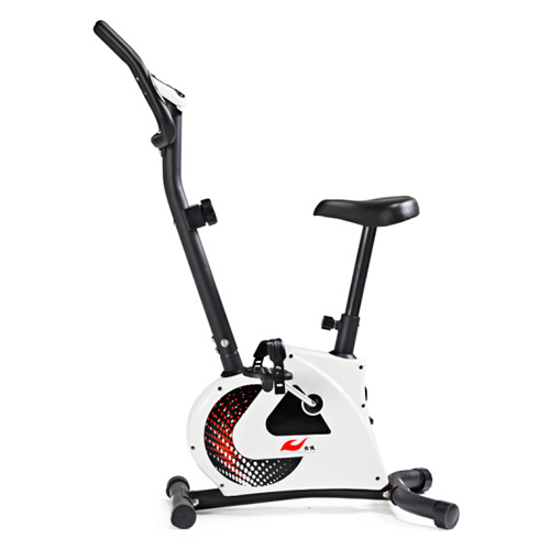 仕健BC31000家用動(dòng)感單車圖1