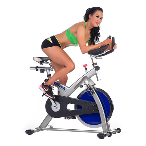 SUNNY SF-A4100動(dòng)感單車(chē)圖1