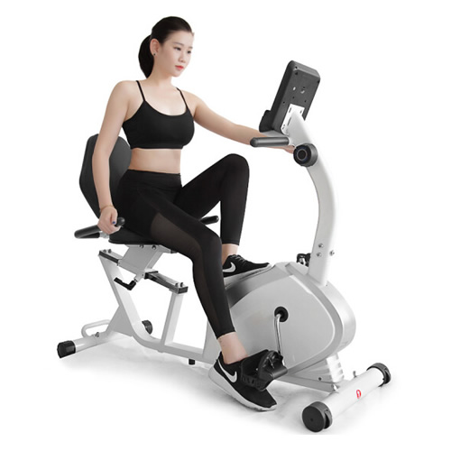 雷克BC600D家用動(dòng)感單車圖2