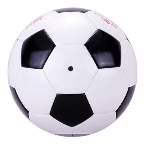 雙魚(yú)長(zhǎng)虹4號(hào)足球圖1