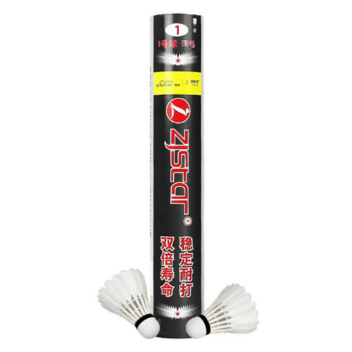 中極星1號球羽毛球