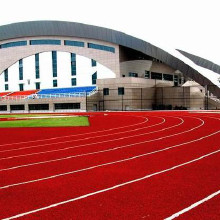 利達(dá)廠家供應(yīng)、混合型塑膠跑道施工、復(fù)合型塑膠跑道材料廠家