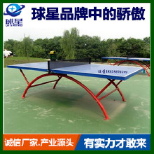 精品推薦學(xué)校體育器材,體育器材、全國就選東莞長安球星體育器材