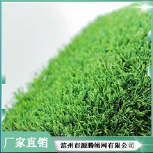 鼎東 人造草坪充砂機 人造草坪填充機