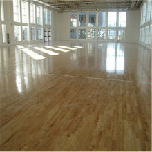 河北森踏體育設施有限公司